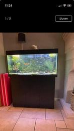 Juwel Rio180+filter+ uv lamp + led verlichting +controller, Dieren en Toebehoren, Ophalen, Zo goed als nieuw