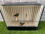 Koppel wildkleur gouldamadines / goulds te koop, Dieren en Toebehoren, Tropenvogel