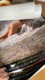 Naaktposters Tanja Dexters, Enlèvement ou Envoi, Comme neuf