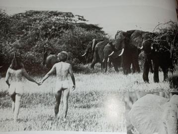 655) African Visions ( Mirella Ricciardi) beschikbaar voor biedingen