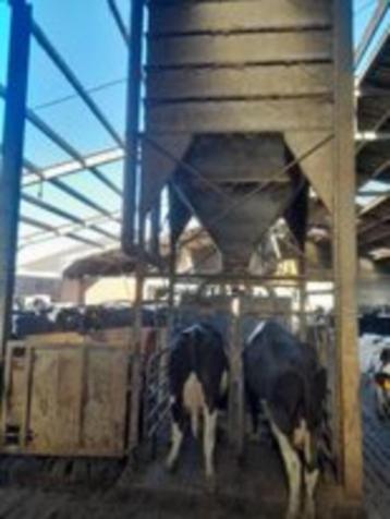 2 krachtvoederautomaten Delaval en silo en blaasbuizen, Enlèvement, Élevage laitier