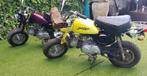Moto, Motos