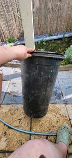 Oase filtoclear 15000l, Ophalen of Verzenden, Gebruikt, Vijverfilter