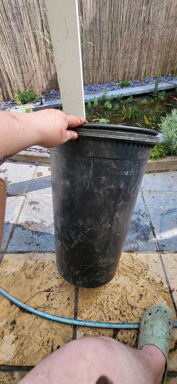 Oase filtoclear 15000l beschikbaar voor biedingen