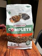 Cavia complete, Animaux & Accessoires, Enlèvement ou Envoi, Rongeur ou Lapin