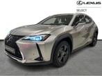 Lexus UX 250h Business line Plus, Hybride Électrique/Essence, Automatique, Achat, Hatchback