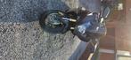 Honda, Motoren, Motoren | Honda, 4 cilinders, Bedrijf, Sport, Meer dan 35 kW