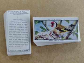 Birds & Their Young complete set 25 chromos 1955 unissued beschikbaar voor biedingen