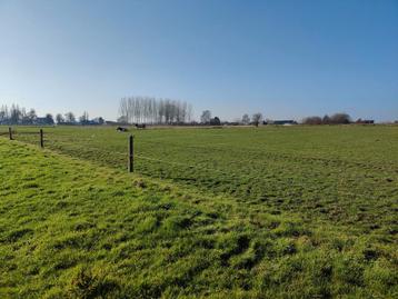 Grond te koop in Erpe-Mere beschikbaar voor biedingen