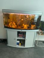 Aquarium atlantis, Dieren en Toebehoren, Ophalen, Zo goed als nieuw, Gevuld zoetwateraquarium