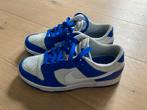 Nike Dunk Low Blue maat 38,5, Kleding | Dames, Schoenen, Nike, Ophalen of Verzenden, Blauw, Sneakers