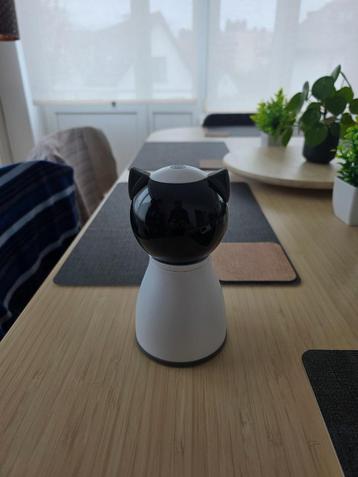 Cat laser lamp beschikbaar voor biedingen