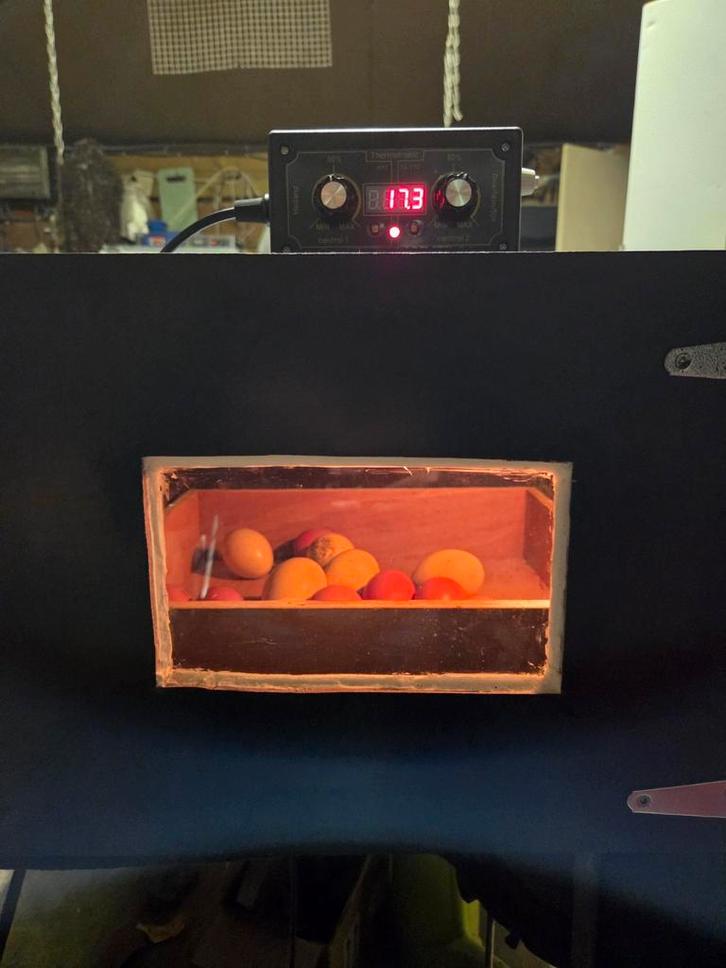 Réparation des incubateurs, Animaux & Accessoires, Volatiles