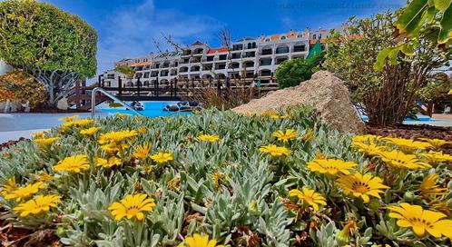 Tenerife 4 sterren duplex appartement Rocas del Mar, Vakantie, Vakantiehuizen | Spanje, Canarische Eilanden, Appartement, Overige