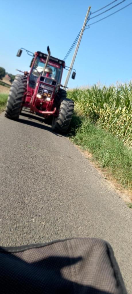 Tracteur International 1455, Articles professionnels, Agriculture | Tracteurs, jusqu'à 2500, Case IH, 120 à 160 ch, Oldtimer/Ancêtre
