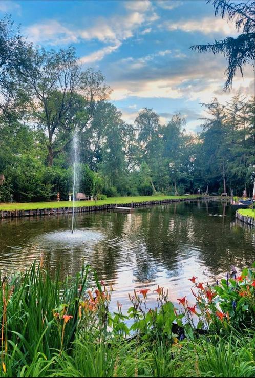 Vissen gezocht voor grootte natuurvijver, Dieren en Toebehoren, Vissen | Vijvervissen