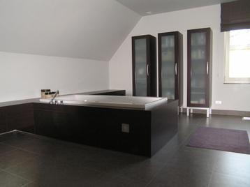 badkamer renovatie? beschikbaar voor biedingen