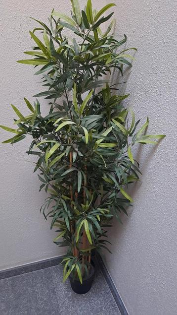 Kunstplant bamboo beschikbaar voor biedingen
