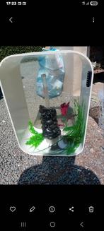 Biorb aquarium  60liter, Dieren en Toebehoren, Ophalen of Verzenden, Zo goed als nieuw