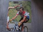 wielerkaart 1976 tour  lucien van impe, Comme neuf, Envoi