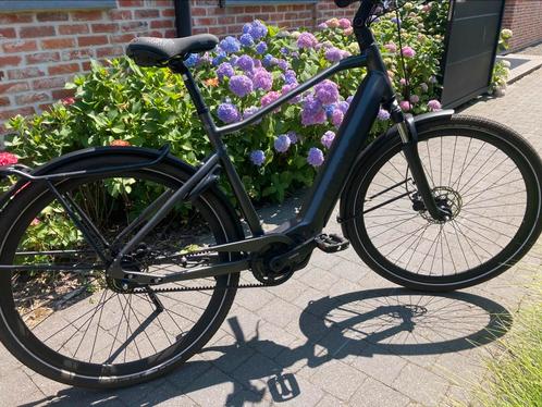 Cortina E-Silento Heer 53, Fietsen en Brommers, Elektrische fietsen, Zo goed als nieuw, Cortina, 51 tot 55 cm, 50 km per accu of meer
