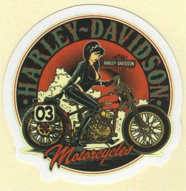 Harley Davidson Motorcycles sticker #1, Motoren, Accessoires | Stickers, Verzenden