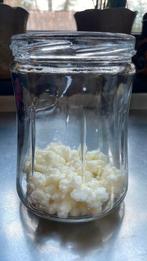 Melkkefirkorrels, Diversen, Levensmiddelen, Ophalen