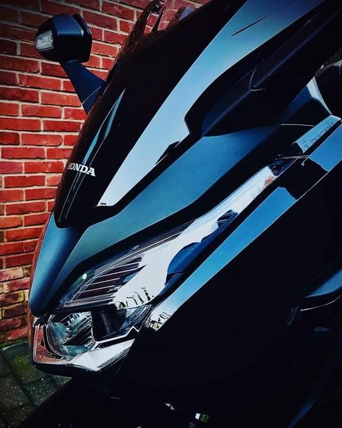 Honda Forza, Motoren, Motoren | Honda, Particulier, Scooter, 11 kW of minder, 1 cilinder, Ophalen