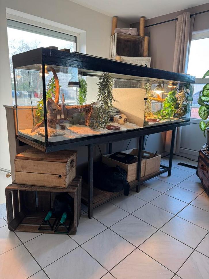 Aquarium/terrarium, Dieren en Toebehoren, Reptielen en Amfibieën | Toebehoren, Gebruikt, Ophalen