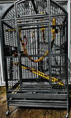Cage Perroquet (marque Montana Cages), Animaux & Accessoires, Oiseaux | Cages & Volières, Comme neuf, Enlèvement ou Envoi