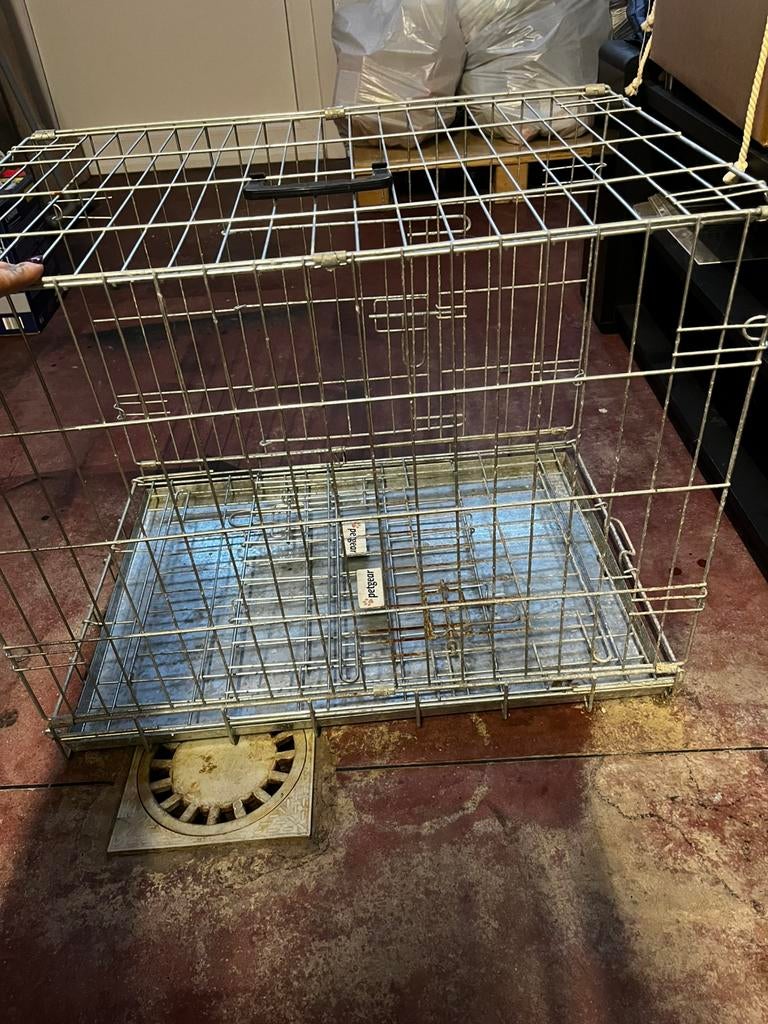 Cage pour chien, Animaux & Accessoires, Maisons pour chiens, Enlèvement, Utilisé