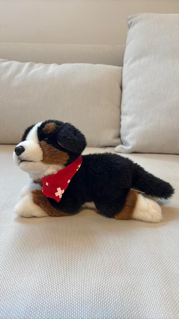 hondenknuffel, Ophalen, Nieuw, Hond, Klein (minder dan 20 cm)