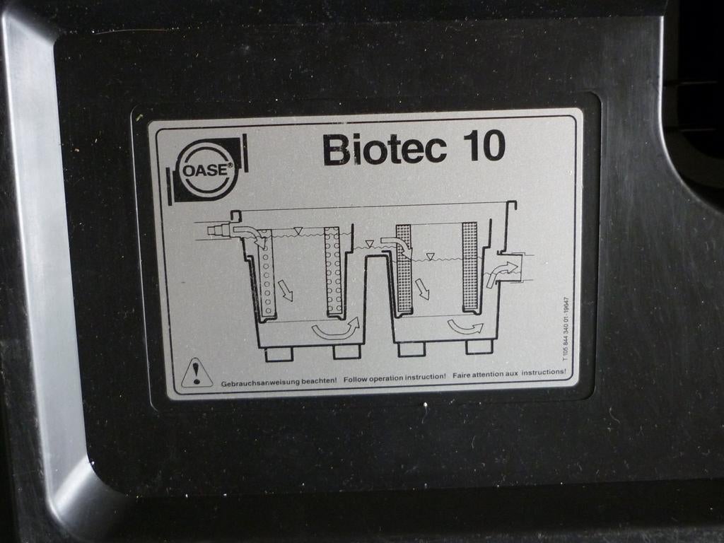 jardain etang, Enlèvement