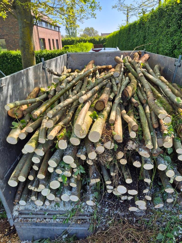 Brandhout wilg 5m³ thuis geleverd, Verzenden