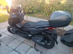 Honda Forza 350, Motoren, Motoren | Honda, Particulier, 350 cc