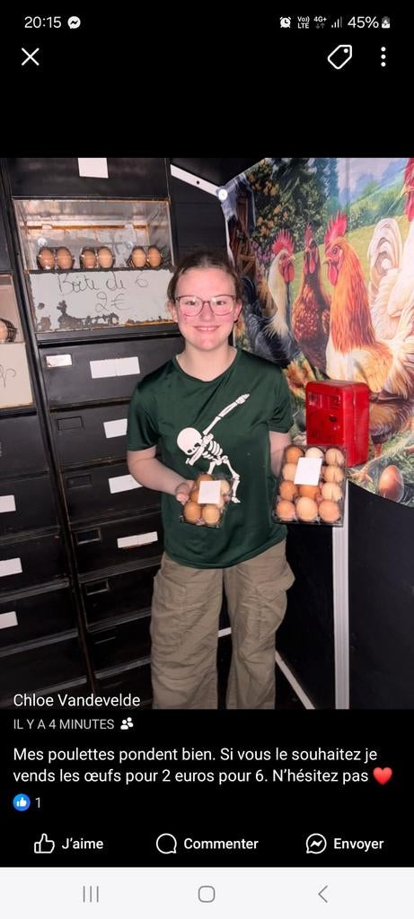 Œuf poules du jardin, Animaux & Accessoires, Enlèvement