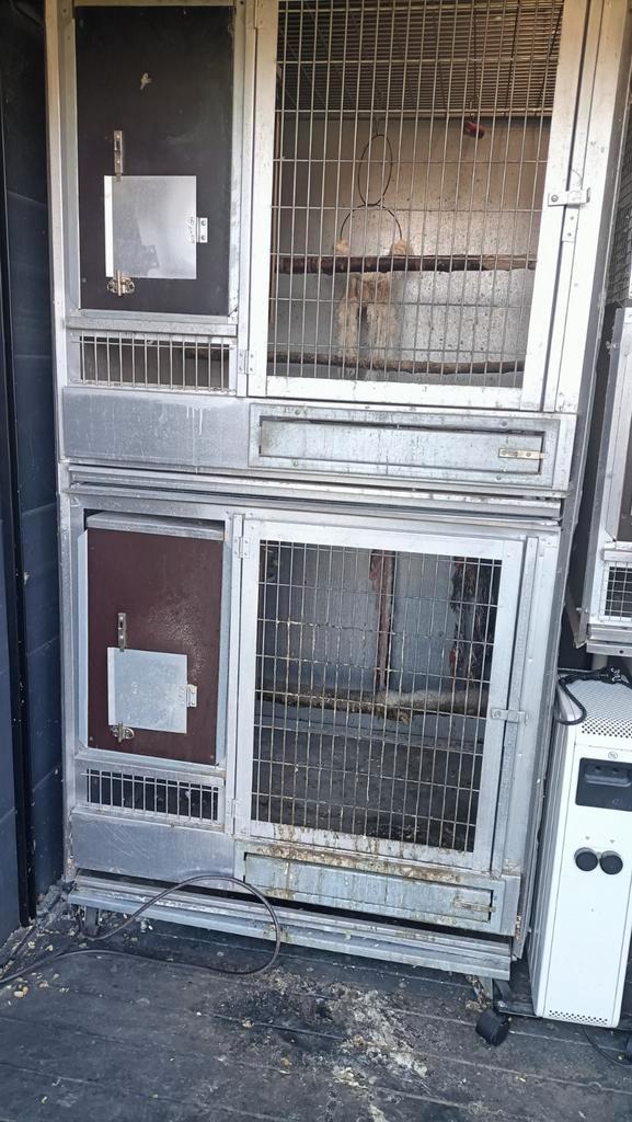 Box d elevage a Maubeuge france, Dieren en Toebehoren, Knaagdieren en Konijnen | Hokken en Kooien, Ophalen