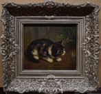 B. Kögl==Chat regardant une libellule., Enlèvement ou Envoi