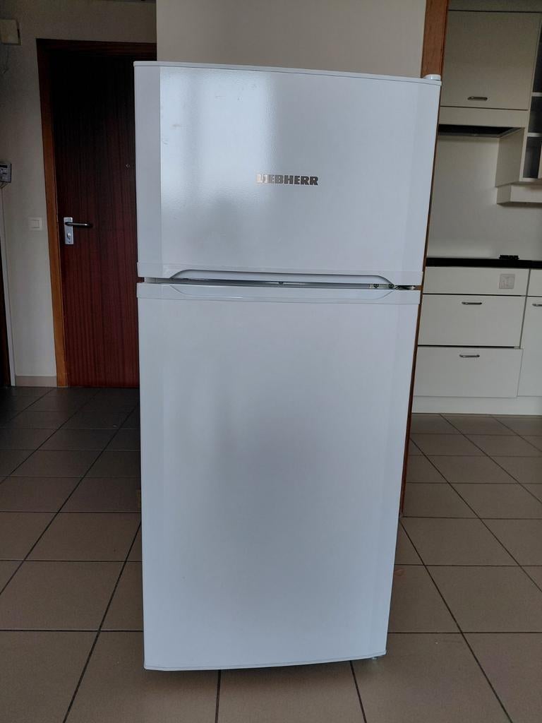 Koelkast let apart diepvriesvek, Elektronische apparatuur, Ophalen