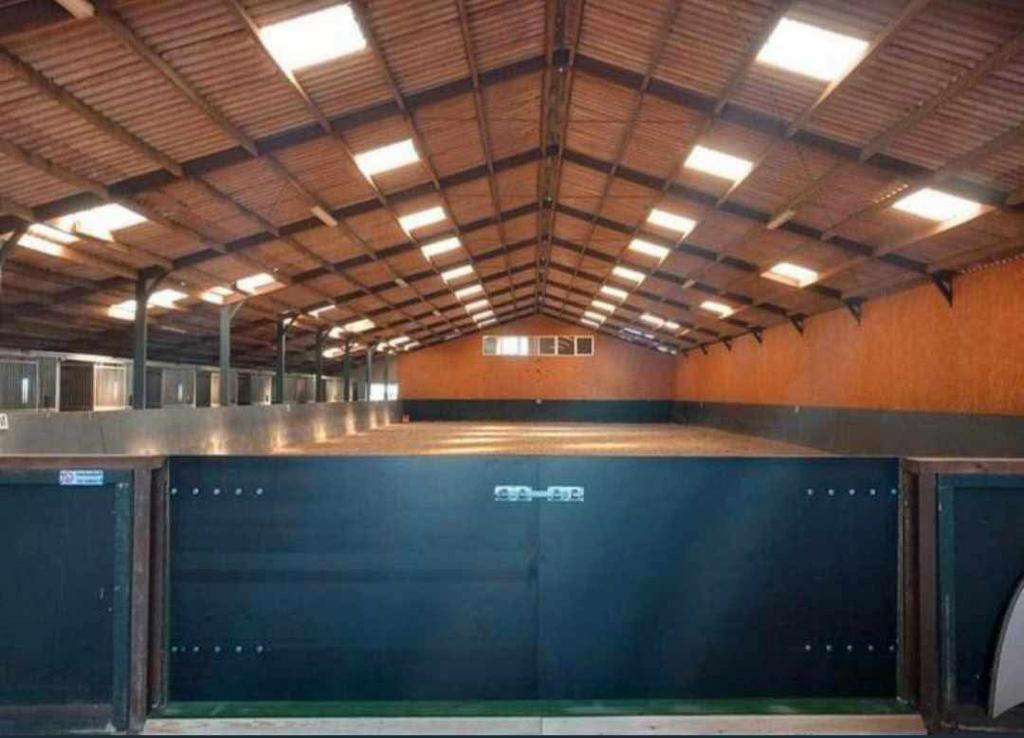 Pensioenstalling in Riemst heeft nog enkele stallen vrij!