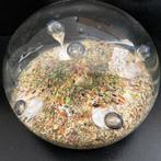 Val saint Lambert  Presse papier  Sulfure Diamètre 8,5 cm, Antiquités & Art, Enlèvement ou Envoi