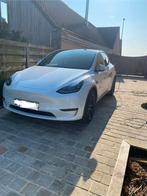 Tesla model y, Auto's, Tesla, Achterwielaandrijving, Zwart, Wit, Leder