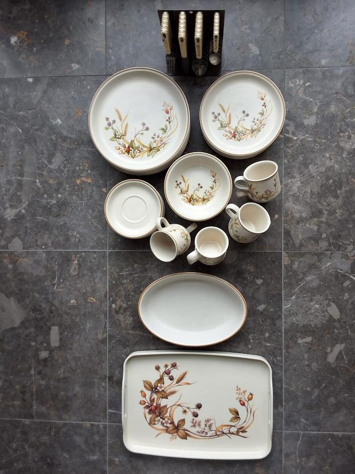 Vintage Midwinter Harvest servies – Made in England, Antiek en Kunst, Antiek | Servies compleet, Ophalen of Verzenden