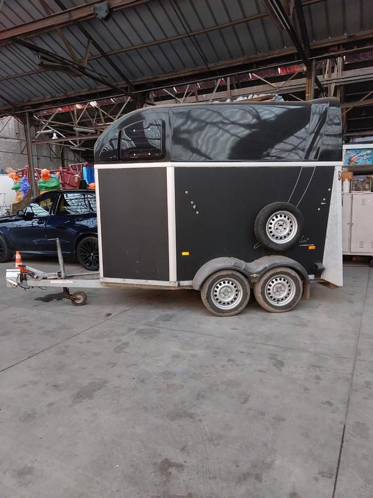 Van 2 chevaux Humbaur, Autos : Divers, Remorques, Enlèvement