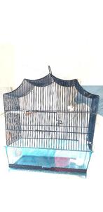 Kooi - 44 cm x 41 cm x 23 cm, Verzenden