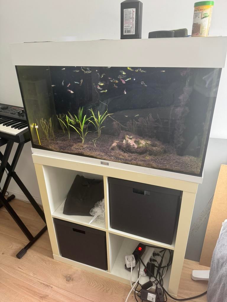 Aquarium Juwel Rio 125 wit, Dieren en Toebehoren, Ophalen, Gebruikt, Verwarming, Juwel