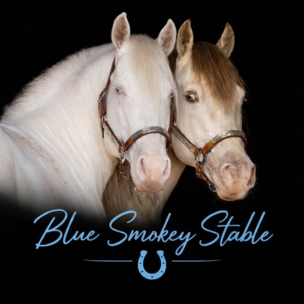 2 zeer unieke quarter hengsten ter dekking, Animaux & Accessoires, Chevaux, Étalon