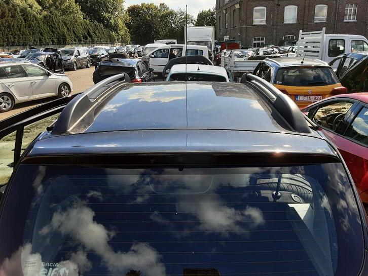 DIVERS TOIT Dacia Sandero II (01-2012/12-2018), Autos : Pièces & Accessoires, Autres pièces automobiles, Dacia, Utilisé