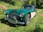 Austin Healey, Auto's, Achterwielaandrijving, Zwart, Overige kleuren, Cabriolet