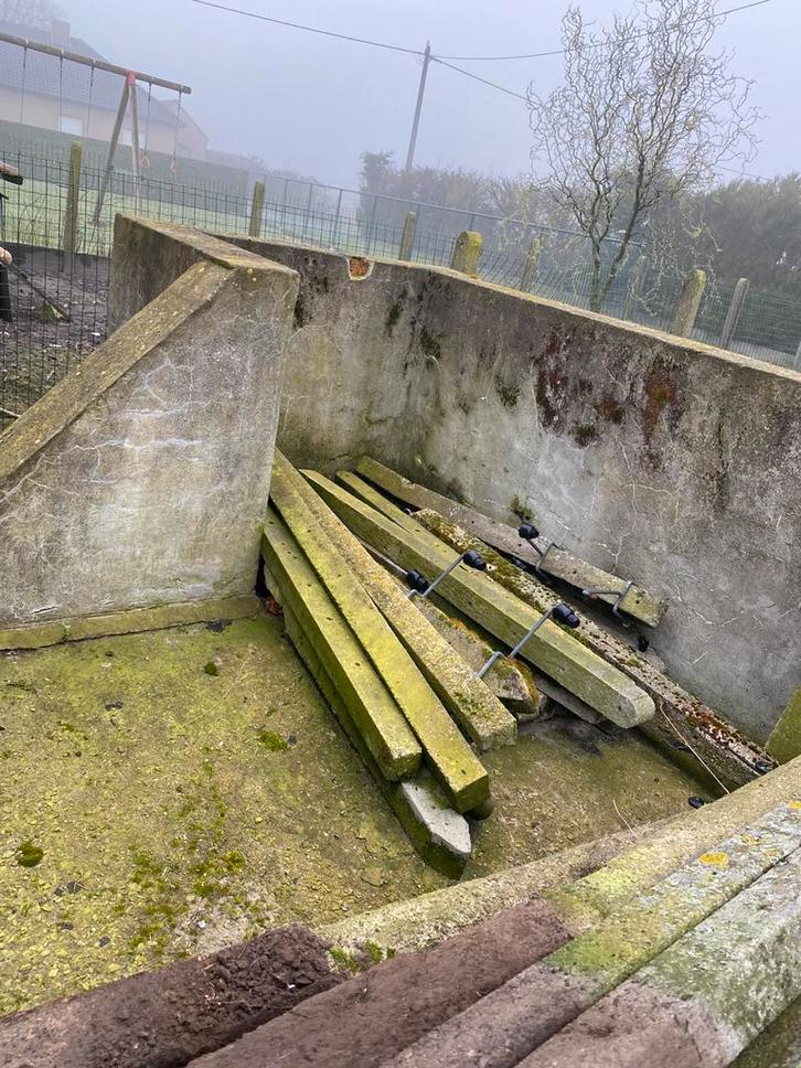 Weide palen, Tuin en Terras, Palen, Balken en Planken, Gebruikt, Palen, 180 tot 250 cm, Ophalen